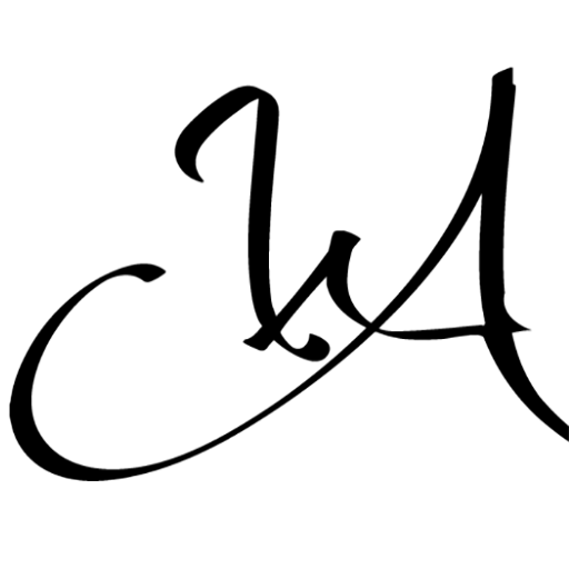 wa-nails-lashes-favicon.png